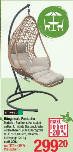 Maximarkt Sitwell Hängekorb Fantastic Angebot
