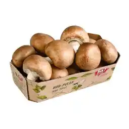 Billa ja!natürlich Bio-Creme-Champignons Angebot