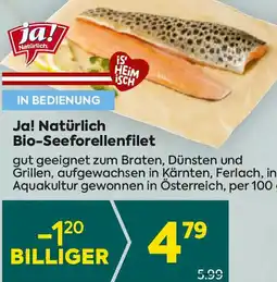 Billa Bio-Seeforellenfilet Angebot