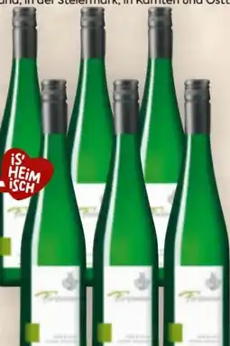 Billa Weingut Forstreiter Grüner Veltliner Kalk und Stein Angebot