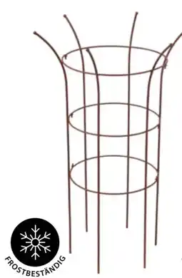 Dehner Dehner Pflanzstütze Chester Angebot