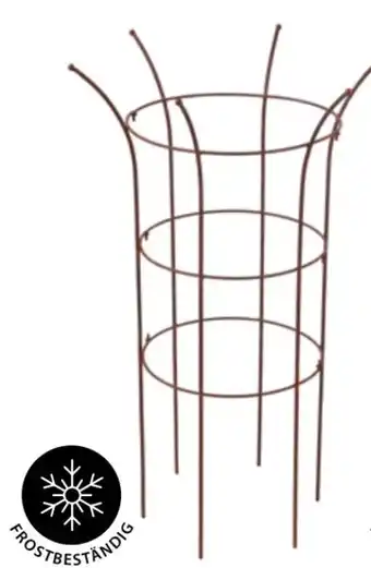 Dehner Dehner Pflanzstütze Chester Angebot