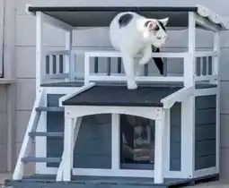 Dehner Dehner Lieblinge Katzenhaus Maison Angebot