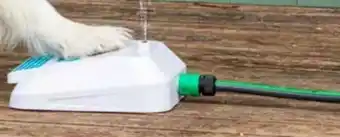 Dehner Dehner Lieblinge Hundespielzeug Wasserfontäne Sprinkler Angebot