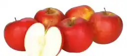 Transgourmet Economy Apfel Angebot