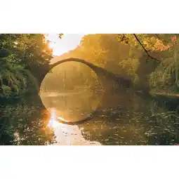Möbelix Vliestapete 400/250 cm Bäume Angebot