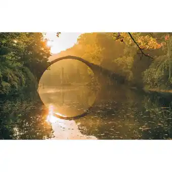 Möbelix Vliestapete 400/250 cm Bäume Angebot