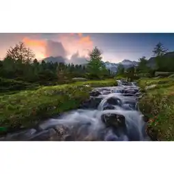 Möbelix Fototapete 450/280 cm Flusslauf Angebot