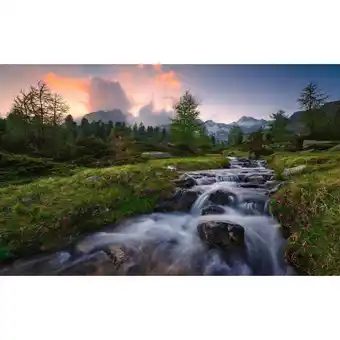 Möbelix Fototapete 450/280 cm Flusslauf Angebot