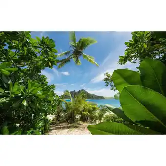 Möbelix Fototapete 450/280 cm Strand Angebot