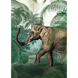 Möbelix Fototapete 200/280 cm Tier Angebot
