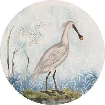 Möbelix Fototapete 125 cm Vogel Angebot