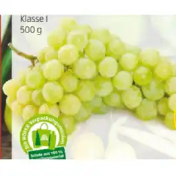 Hofer Trauben kernlos weiss HOFER Angebot