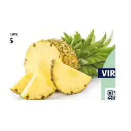 Hofer Ananas HOFER Angebot