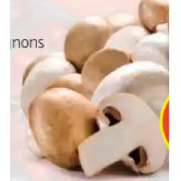 Hofer Champignons versch. Sorten HOFER Angebot
