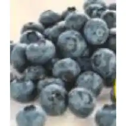 Hofer Heidelbeeren HOFER Angebot