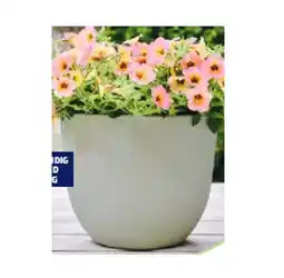 Hofer Pflanzgefäss aus Recyceltem Kunststoff HOFER Angebot