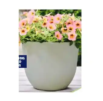 Hofer Pflanzgefäss aus Recyceltem Kunststoff HOFER Angebot