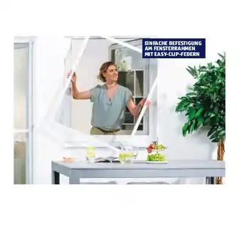 Hofer Teleskopic-Insektenschutz-Fenster HOFER Angebot