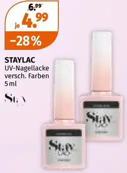 Müller Staylac uv-nagellacke Angebot
