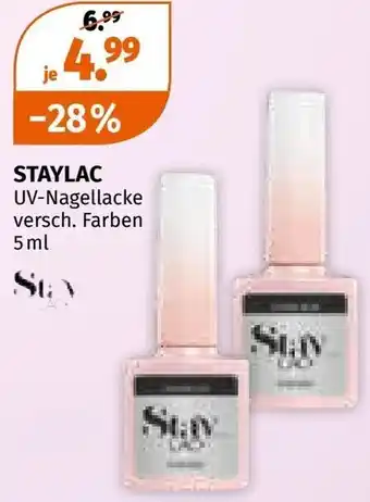 Müller Staylac uv-nagellacke Angebot