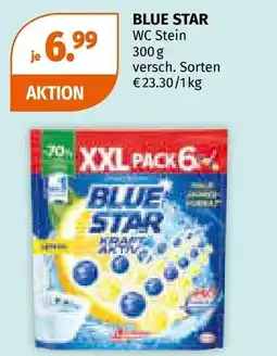 Müller Blue star wc stein Angebot