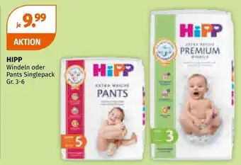 Müller HIPP Windeln oder Pants Singlepack Angebot