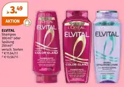 Müller Elvital shampoo Angebot