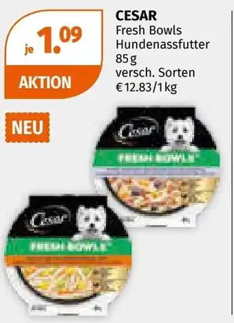 Müller Cesar fresh bowls hundenassfutter Angebot