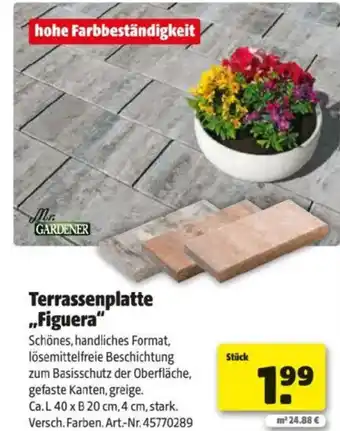 Hagebau Terrassenplatte figuera Angebot