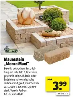 Hagebau Mauerstein monza maxi Angebot