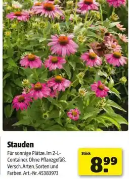 Hagebau Stauden Angebot