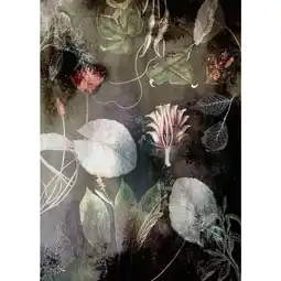 Möbelix Fototapete 200/280 cm Floral Angebot