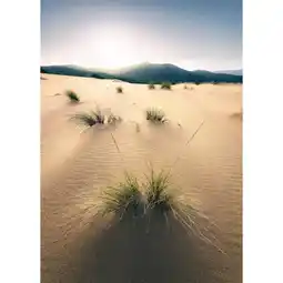 Möbelix Fototapete 200/280 cm Strand Angebot