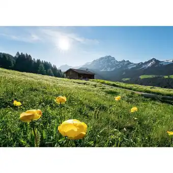 Möbelix Fototapete 400/280 cm Graphik Angebot