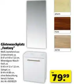Hagebau Gästewaschplatz Fantasy Angebot