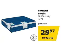 Eurogast Grissemann Eurogast Forelle Angebot