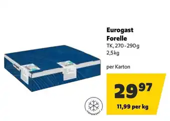 Eurogast Grissemann Eurogast Forelle Angebot