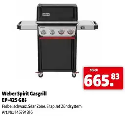 Eurogast Grissemann Weber Spirit Gasgrill Angebot