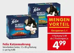 Interspar Felix Katzennahrung Angebot