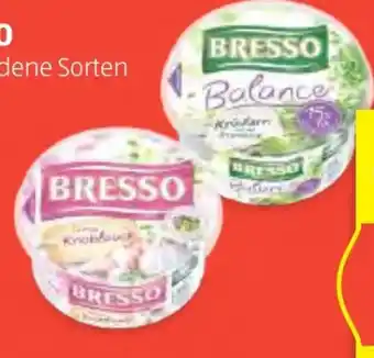 Hofer Bresso Frischkäse Angebot