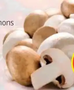 Hofer Hofer Marktplatz Champignons Angebot