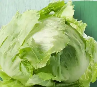 Spar Spar Eisbergsalat Angebot
