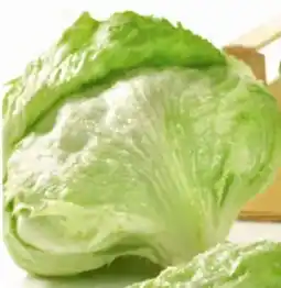 Eurospar Spar Eisbergsalat Angebot