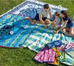 Interspar Rubin Picknickdecken Angebot