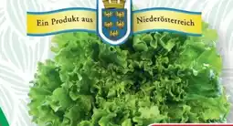 SPAR Gourmet Spar Natur pur Bio-Gentilina Angebot