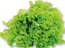 Unimarkt Natürlich für uns Bio Gentile Salat Angebot