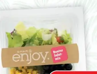 SPAR Gourmet SPAR enjoy Bunter Salatmix Angebot