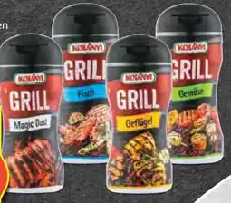 Hofer Kotányi Grillgewürz Angebot