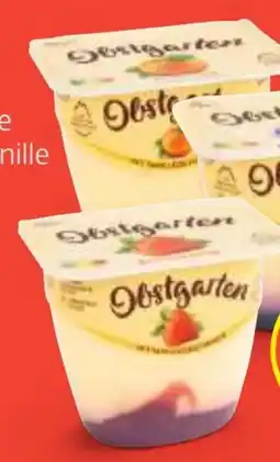 Hofer Danone Obstgarten Angebot